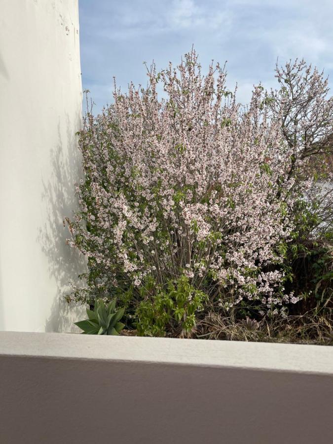 Casa Da Aldeia - Guest House Odiaxere Bagian luar foto